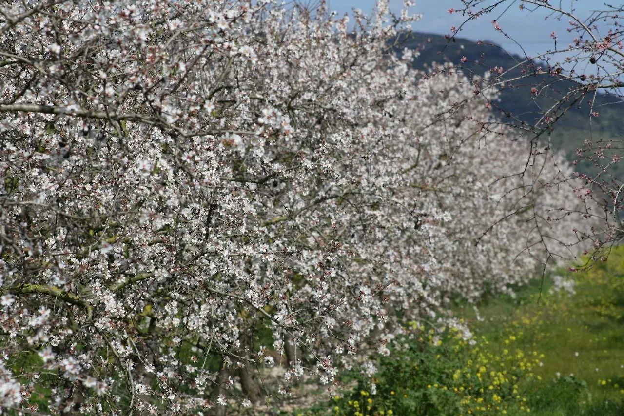 005 Finca Can Cortana 1782-2016Et By Mallorca Charme Llubi Holiday home